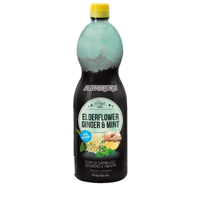 Wellness Line Elderflower Ginger & Mint Polot 1882 1lt